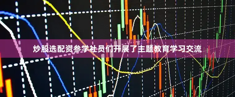 炒股选配资参学社员们开展了主题教育学习交流